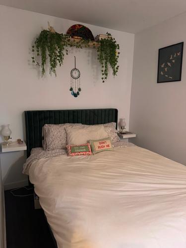 1 bedroom apartment for rent in Montreal - Le Plateau-Mont-Royal — photo 2