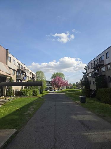 Appartement de 1 chambre à louer à Brossard — photo 6
