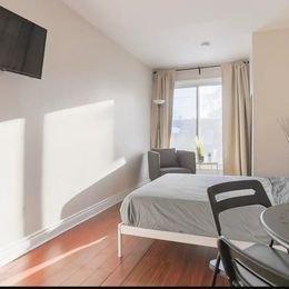1 bedroom apartment for rent in Montreal - Rosemont–La Petite-Patrie — photo 7
