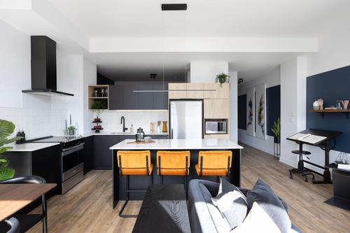 1 bedroom apartment for rent in Montréal — photo 7