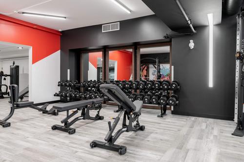 Studio for rent in Montreal - Côte-des-Neiges–Notre-Dame-de-Grâce — photo 9