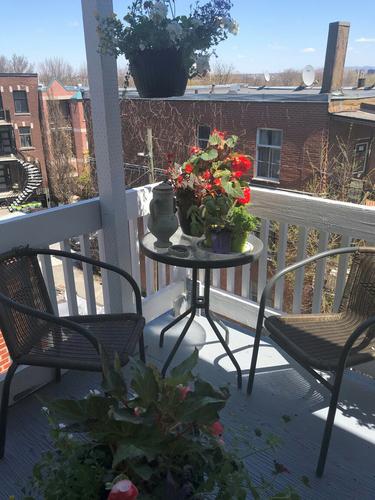 2 bedrooms apartment for rent in Montreal - Ville-Marie — photo 15