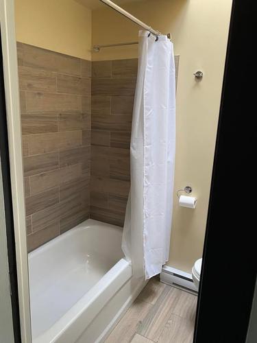 1 bedroom apartment for rent in Montreal - Rosemont–La Petite-Patrie — photo 2