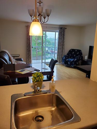 1 bedroom apartment for rent in Lévis — photo 4