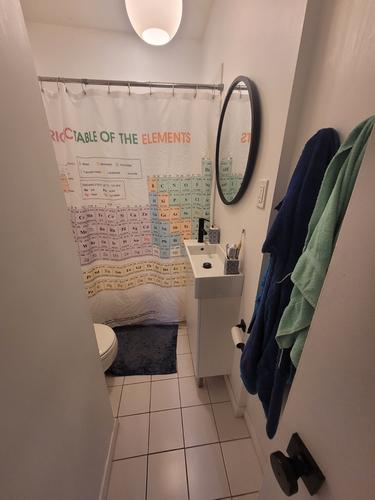 Appartement de 1 chambre à louer à Montreal - Rosemont–La Petite-Patrie — photo 9