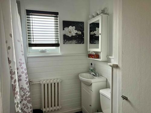 Appartement de 2 chambres à louer à Québec - La Cité-Limoilou — photo 7