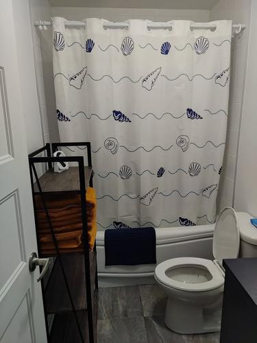 Appartement de 4 chambres à louer à Montreal - Le Plateau-Mont-Royal — photo 13