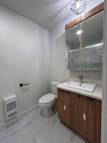 Appartement de 1 chambre à louer à Sherbrooke — photo 8