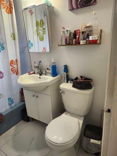 1 bedroom apartment for rent in Montreal - Rosemont–La Petite-Patrie — photo 5