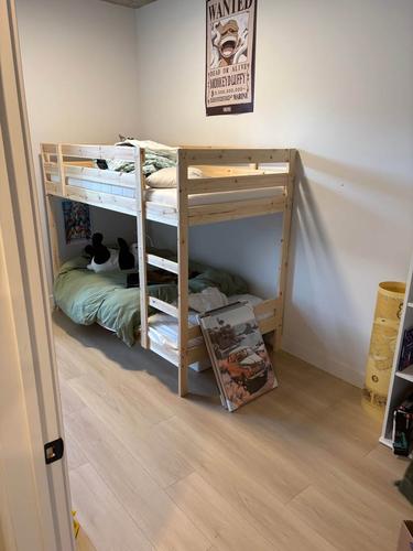 Appartement de 2 chambres à louer à Québec - La Cité-Limoilou — photo 4
