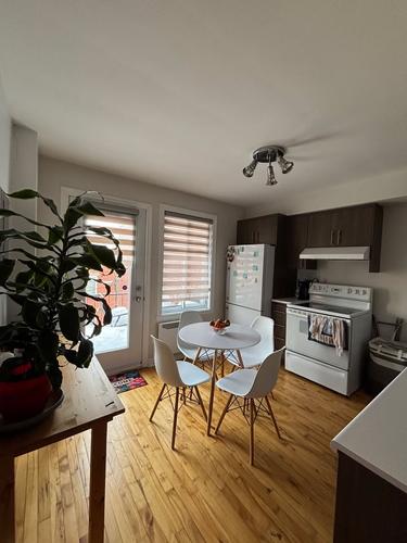 1 bedroom apartment for rent in Montreal - Rosemont–La Petite-Patrie — photo 16