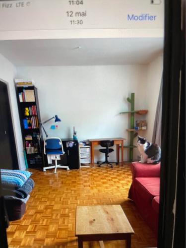 2 bedrooms apartment for rent in Montreal - Ville-Marie — photo 12
