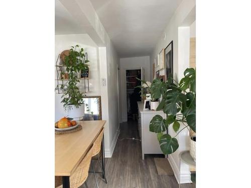 Appartement de 1 chambre à louer à Longueuil — photo 8
