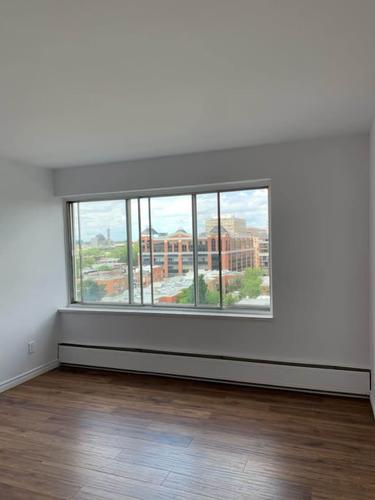 1 bedroom apartment for rent in Montreal - Le Plateau-Mont-Royal — photo 14