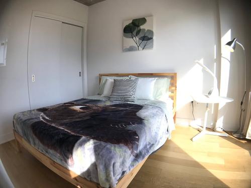 1 bedroom apartment for rent in Montreal - Ville-Marie — photo 5