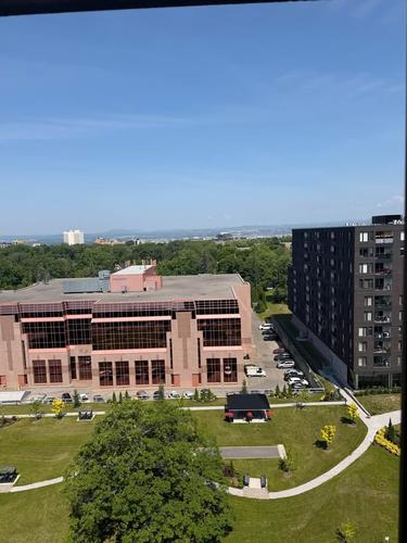 Studio à louer à Québec - La Cité-Limoilou — photo 5