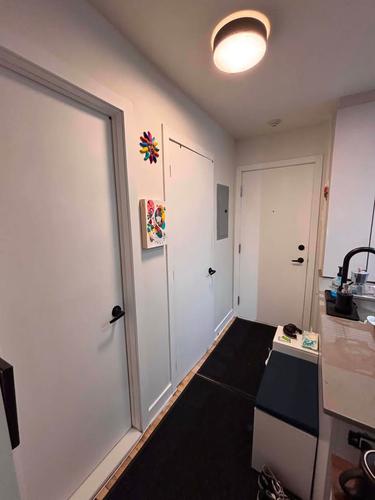 1 bedroom apartment for rent in Montreal - Rosemont–La Petite-Patrie — photo 14