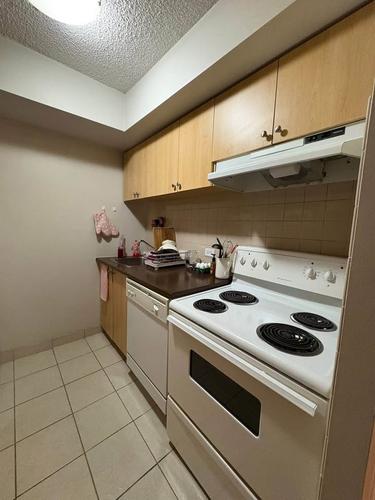 2 bedrooms apartment for rent in Montreal - Le Plateau-Mont-Royal — photo 8