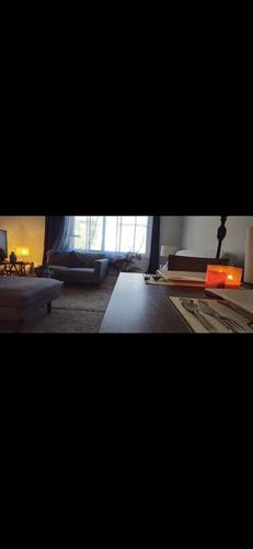 Studio for rent in Montreal - Le Plateau-Mont-Royal — photo 3