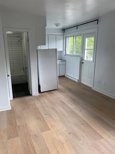 Studio à louer à Montreal - Rosemont–La Petite-Patrie — photo 13