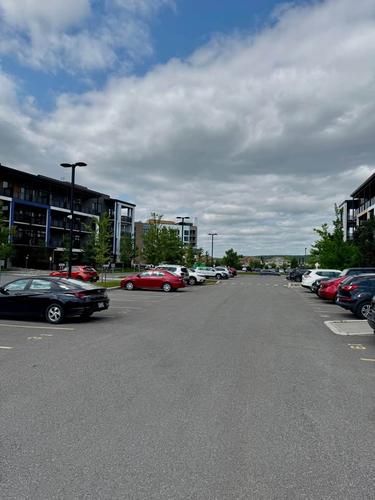 Appartement de 1 chambre à louer à Gatineau — photo 13