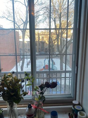 Appartement de 2 chambres à louer à Montreal - Le Plateau-Mont-Royal — photo 11