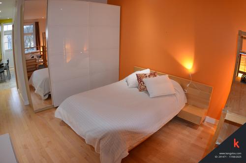 Appartement de 1 chambre à louer à Montreal - Rosemont–La Petite-Patrie — photo 11