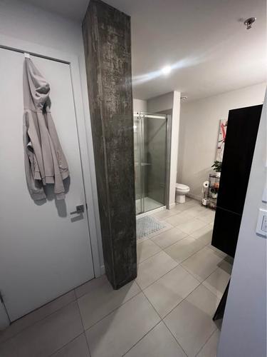 1 bedroom apartment for rent in Laval — photo 3
