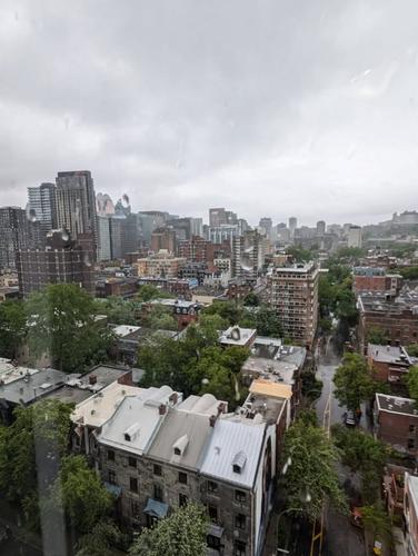 1 bedroom apartment for rent in Montreal - Ville-Marie — photo 7