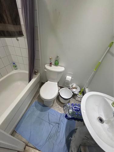 1 bedroom apartment for rent in Montreal - Le Plateau-Mont-Royal — photo 3