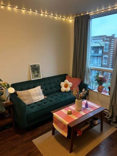 1 bedroom apartment for rent in Montreal - Le Plateau-Mont-Royal — photo 2