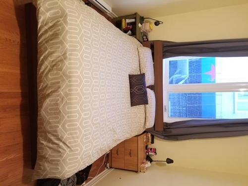 Appartement de 2 chambres à louer à Montreal - Le Plateau-Mont-Royal — photo 5