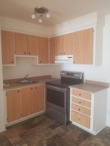 Appartement de 1 chambre à louer à Longueuil — photo 3
