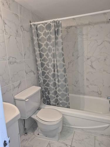 1 bedroom apartment for rent in Montreal - Le Plateau-Mont-Royal — photo 9