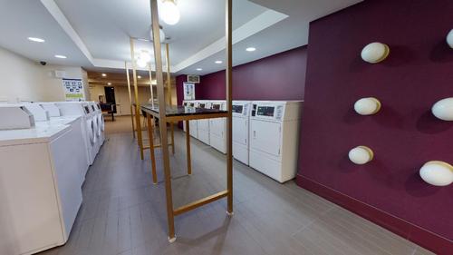 1 bedroom apartment for rent in Montreal - Le Plateau-Mont-Royal — photo 7