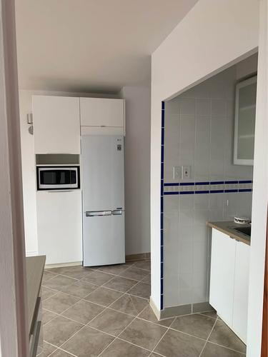 1 bedroom apartment for rent in Montreal - Le Plateau-Mont-Royal — photo 12