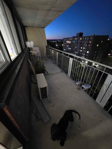 Appartement de 1 chambre à louer à Gatineau — photo 5