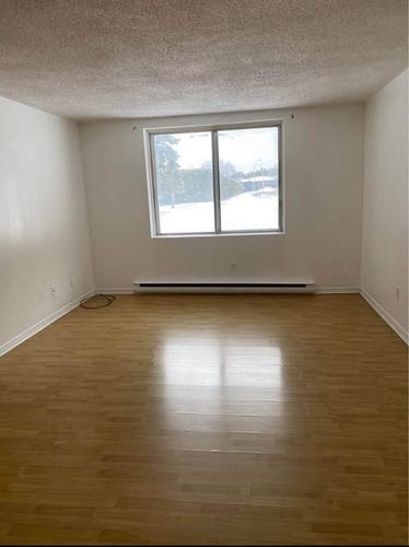 Appartement de 2 chambres à louer à Gatineau — photo 4