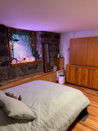 2 bedrooms apartment for rent in Montreal - Le Plateau-Mont-Royal — photo 2