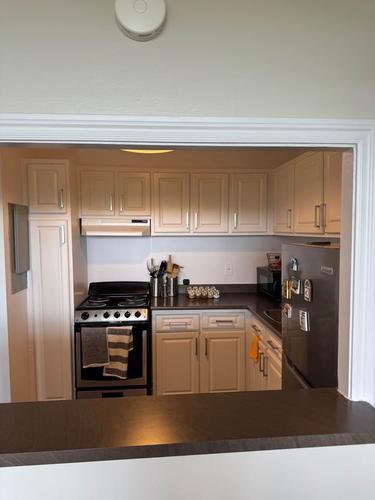 1 bedroom apartment for rent in Gatineau — photo 3