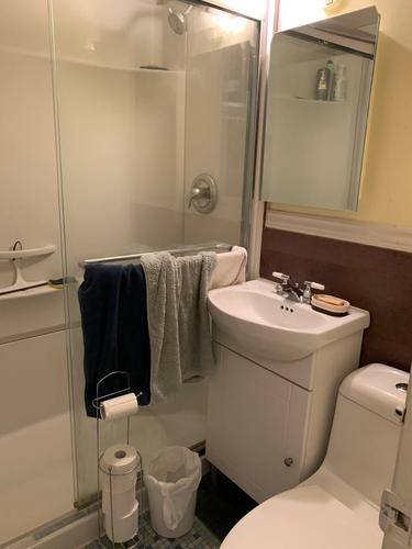 Studio for rent in Montreal - Le Plateau-Mont-Royal — photo 8