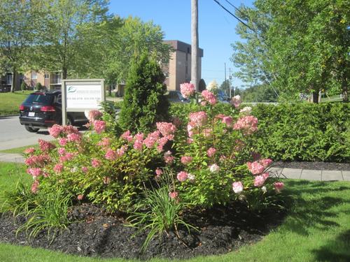 3 bedrooms apartment for rent in Sherbrooke — photo 4
