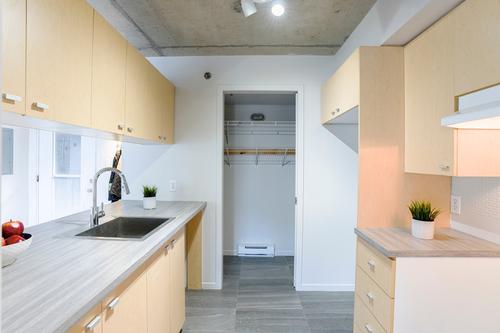 Appartement de 2 chambres à louer à Québec - La Cité-Limoilou — photo 3