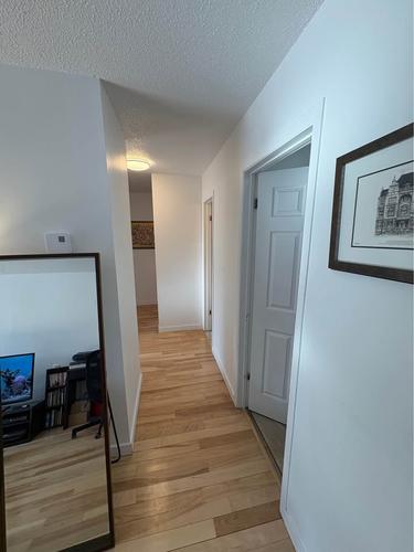 Appartement de 2 chambres à louer à Longueuil — photo 5
