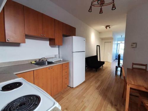 4 bedrooms apartment for rent in Montreal - Le Plateau-Mont-Royal — photo 8