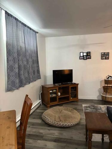 Appartement de 1 chambre à louer à Gatineau — photo 7