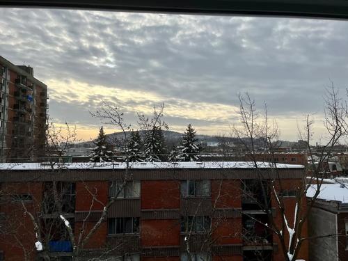 1 bedroom apartment for rent in Montreal - Le Plateau-Mont-Royal — photo 7