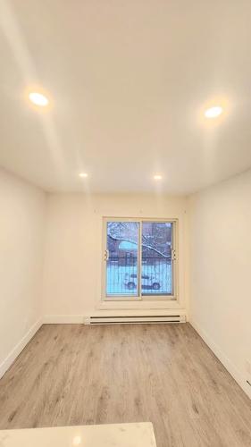 1 bedroom apartment for rent in Montreal - Rosemont–La Petite-Patrie — photo 3