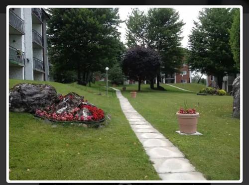 Appartement de 2 chambres à louer à Sherbrooke — photo 12