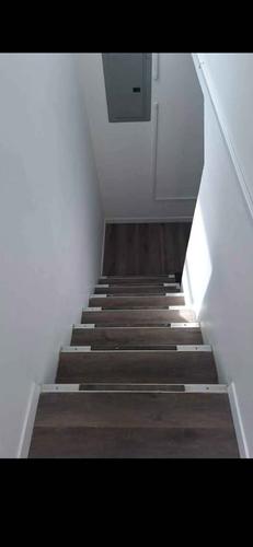 Appartement de 2 chambres à louer à Québec - La Cité-Limoilou — photo 4